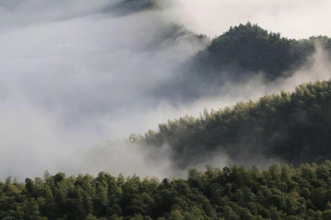 远上寒山石径斜,白云深处有人家是哪首诗-你身边的信息交流平台