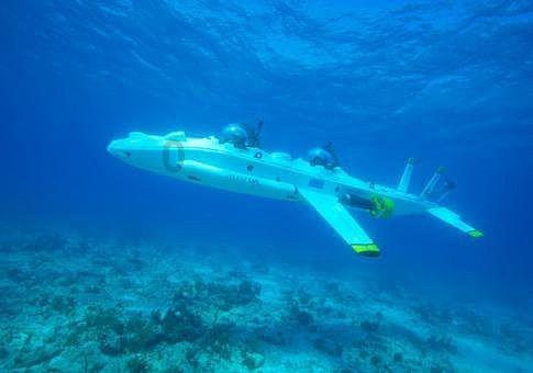 2023年丽水学院成人高考专升本录取分数线